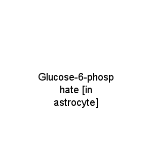 Glucose-6-phosphate [in astrocyte]